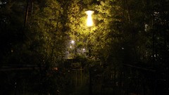 Bamboo Garden roads street lights