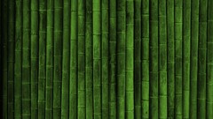 bamboo texture Wood