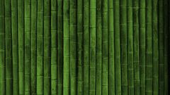 Bamboo Textures