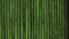 Bamboo Textures Art