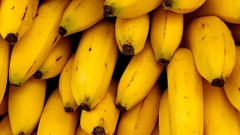 Bananas
