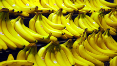 Bananas