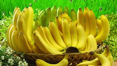 Bananas Vitamins fruits fresh strong