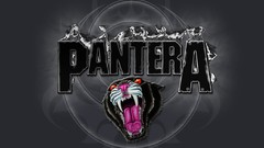 Bands heavy metal Pantera band