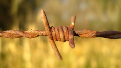 Barbed wire