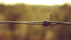 Barbed wire depth of field
