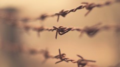 Barbed wire fences depth of field