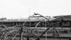 Barbed wire grayscale Urban exploration trains
