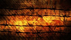 Barbed wire grunge pices