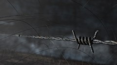 Barbed wire renders