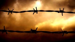 Barbed wire skyscapes