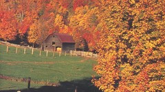 Barn complex magazine