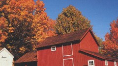 Barn complex magazine