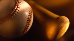 Baseball bats baseball