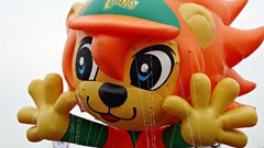 Baseball Taiwan Lions toys (children)