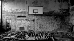 Basketball monochrome greyscale