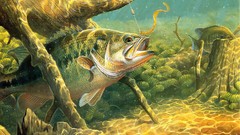 Bass fishing pikes tackle