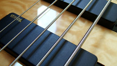 Bass guitars