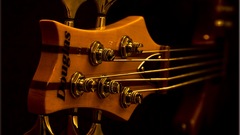 Bass guitars