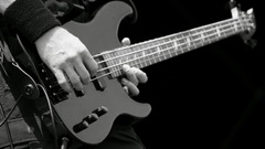 Bass guitars