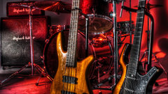 Bass guitars bass guitars