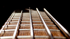 Bass guitars bass guitars