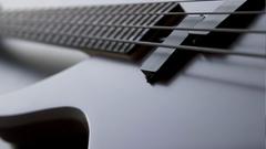 Bass guitars guitars