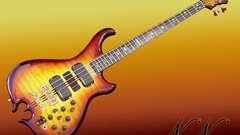 Bass guitars guitars