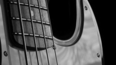 Bass guitars guitars