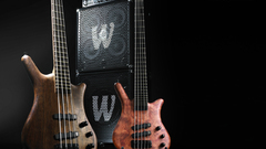 Bass guitars guitars