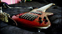 Bass guitars guitars