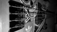 Bass guitars guitars