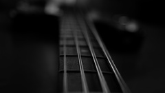 Bass guitars instruments guitars