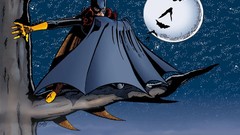 Batgirl dc comics cartoon