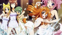 Bathing towels dog days