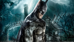 Batman arkham asylum cartoon