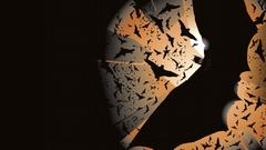 Batman Batman Begins