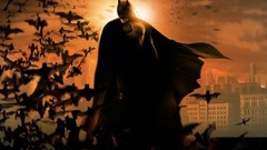 Batman Batman Begins bats superheroes