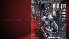 Batman Catwoman Batwoman cartoon