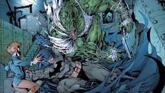 Batman dc comics Catwoman