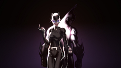 Batman dc comics Catwoman