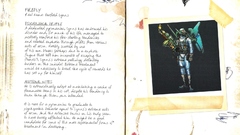 Batman firefly Arkham Asylum