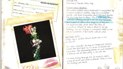 Batman Poison Ivy pamela