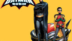 Batman robin