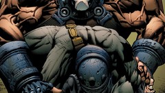 Batman The Dark Knight dc comics