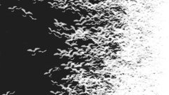 Bats by worlithe high