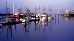 Bay Boats Oregon vehicles