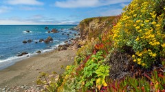 Bay Garden California Seaside