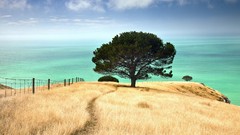 Bay New Zealand canterbury