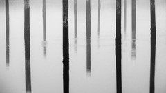 Bay Oregon Harbor winchester